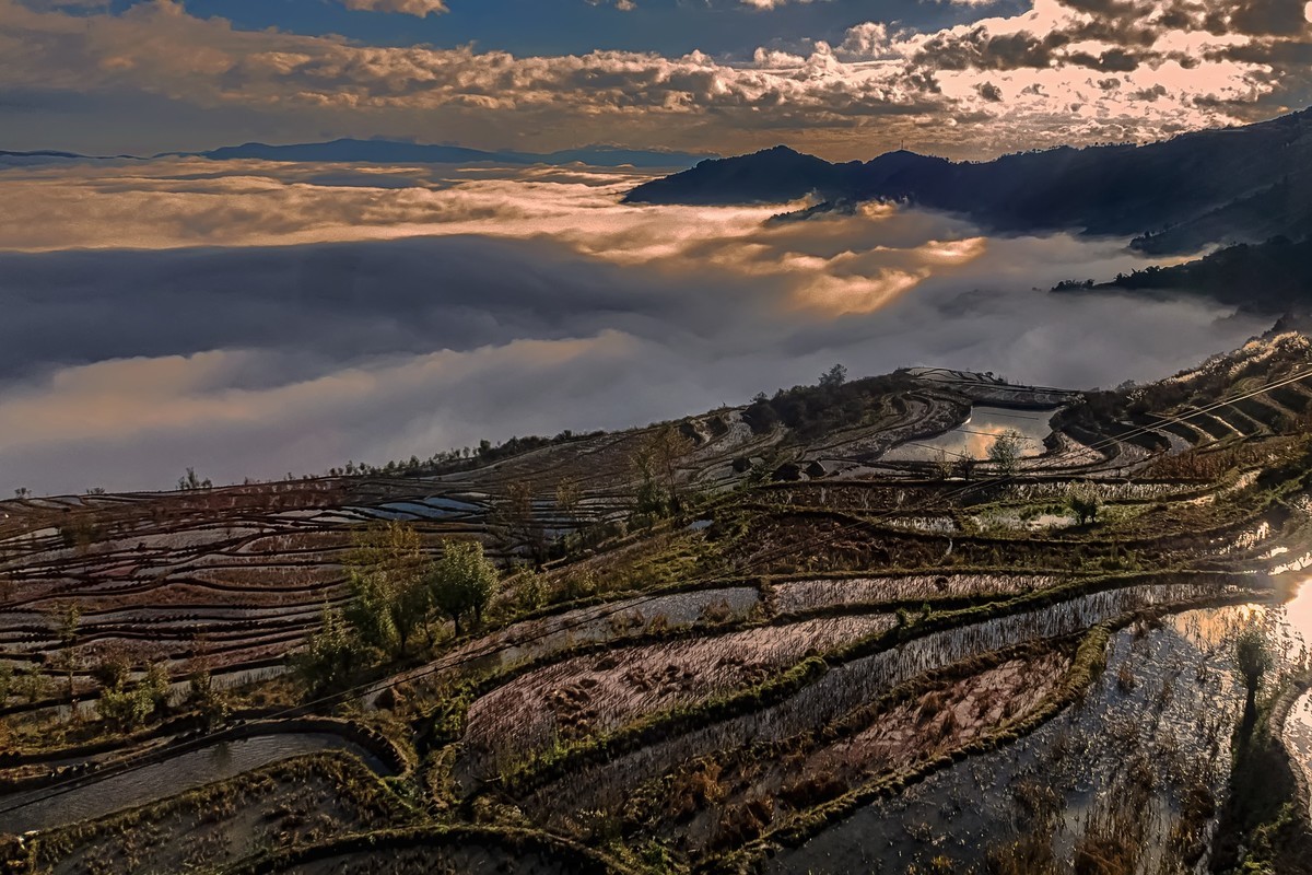 哀牢山羊街云海梯田