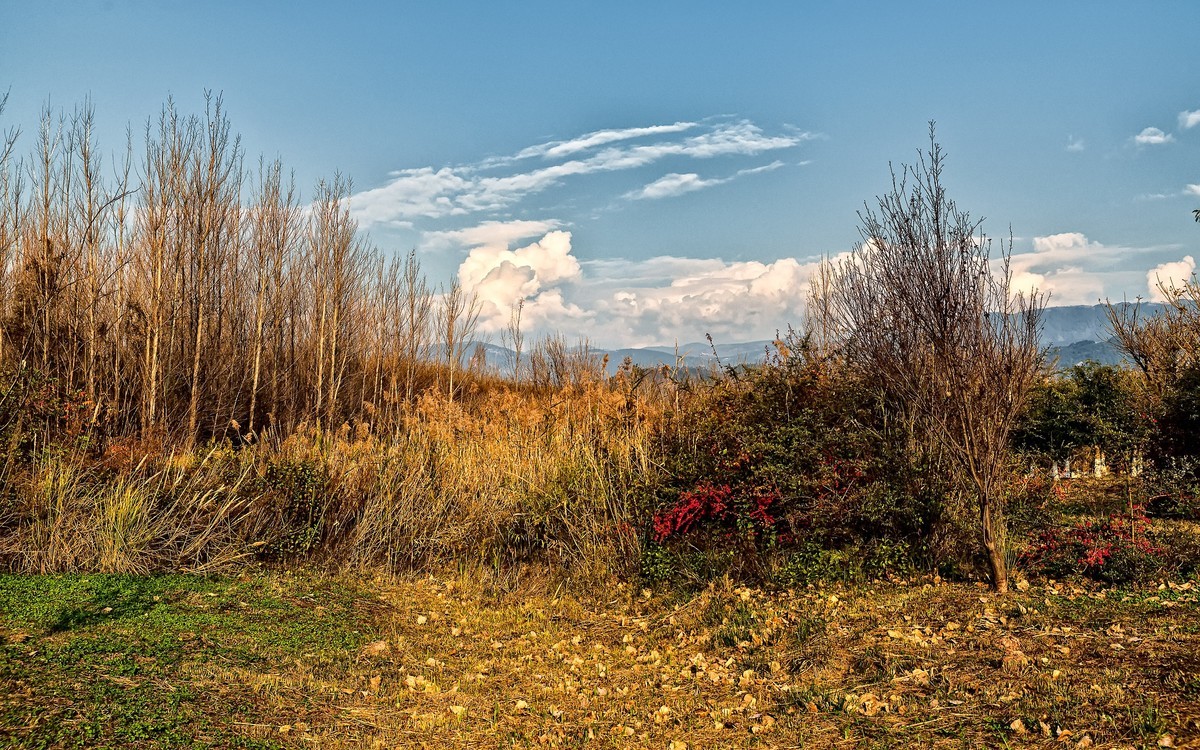 暮色下的邛海湿地