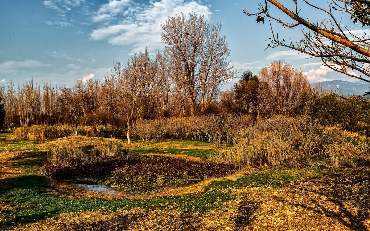 暮色下的邛海湿地
