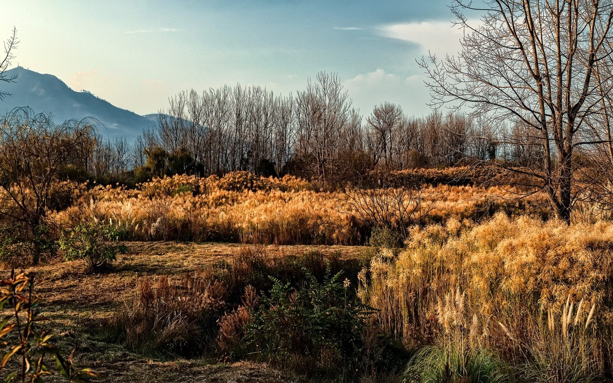 暮色下的邛海湿地