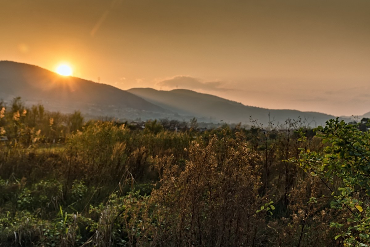 暮色下的邛海湿地