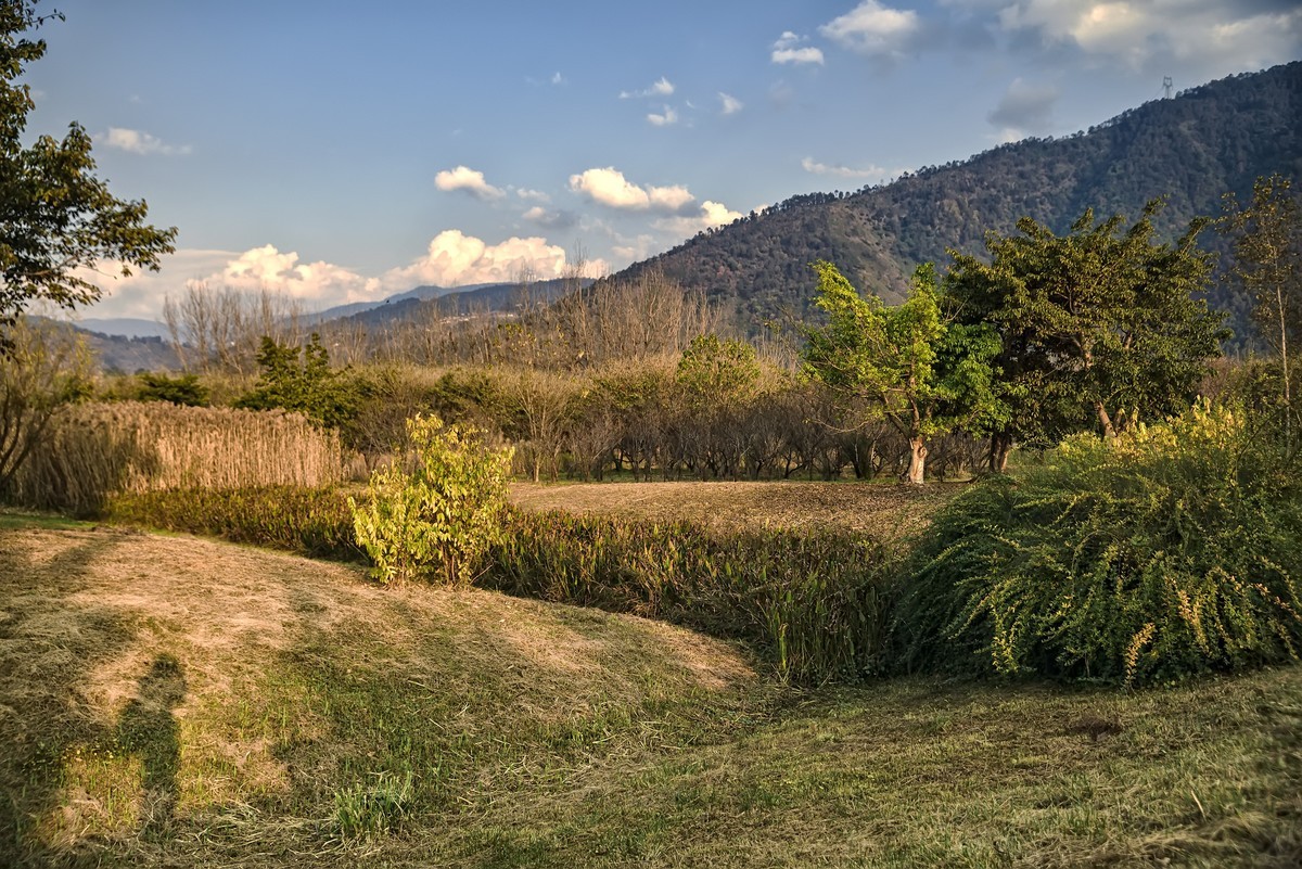 暮色下的邛海湿地