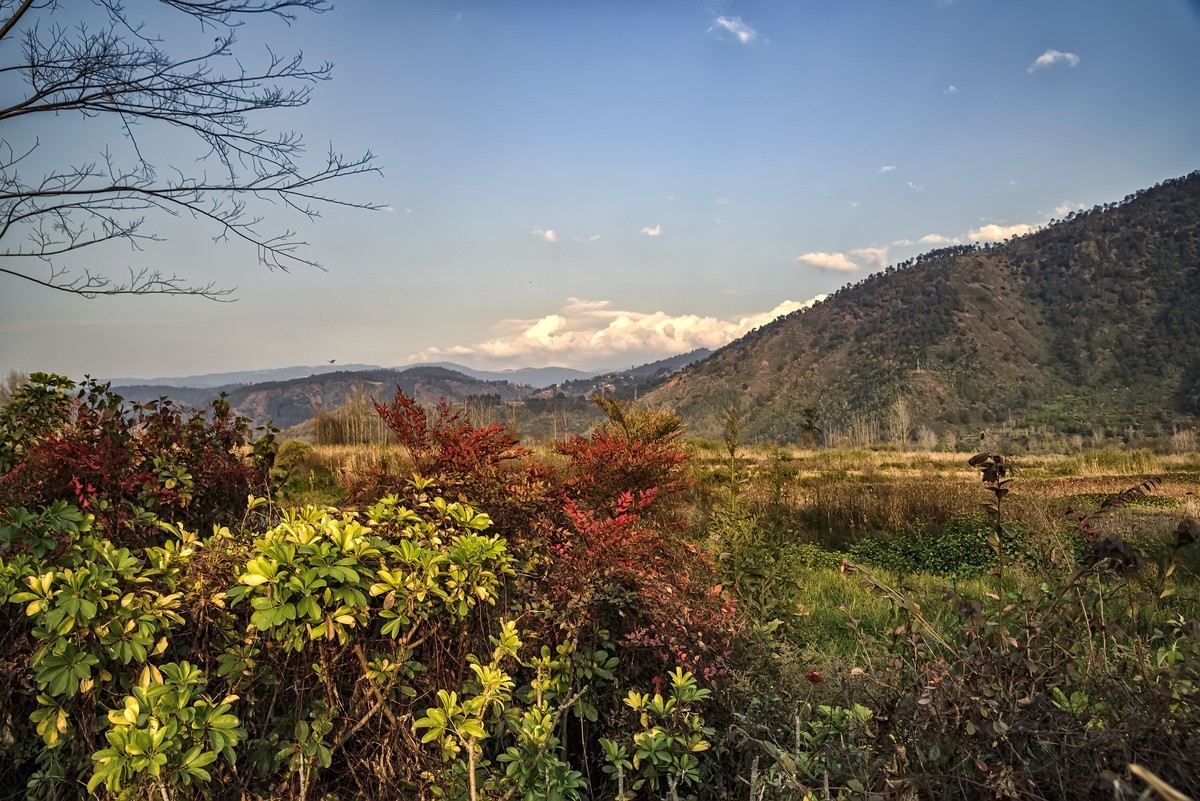 暮色下的邛海湿地
