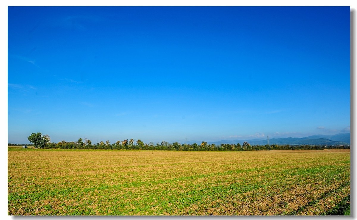 携“残幅超广田园”，拜会全幅大哥，祝秋日安好！！！