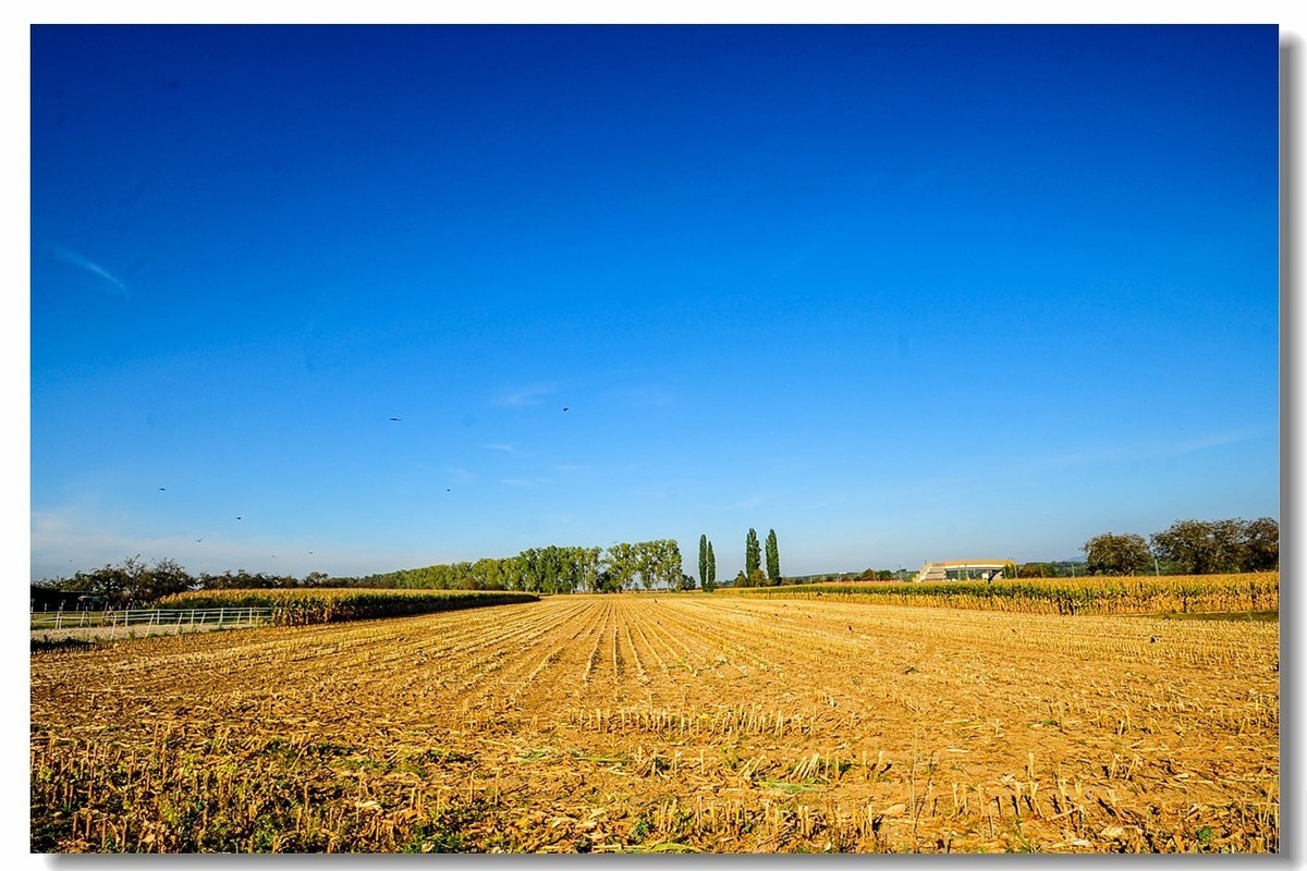 携“残幅超广田园”，拜会全幅大哥，祝秋日安好！！！