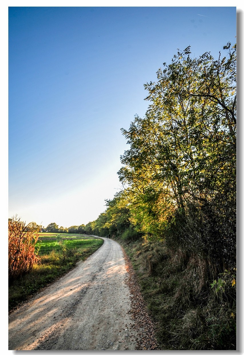 携“残幅超广田园”，拜会全幅大哥，祝秋日安好！！！