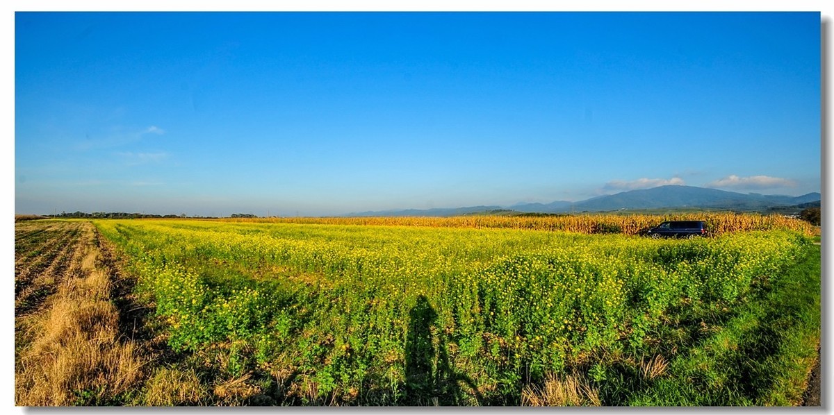 携“残幅超广田园”，拜会全幅大哥，祝秋日安好！！！