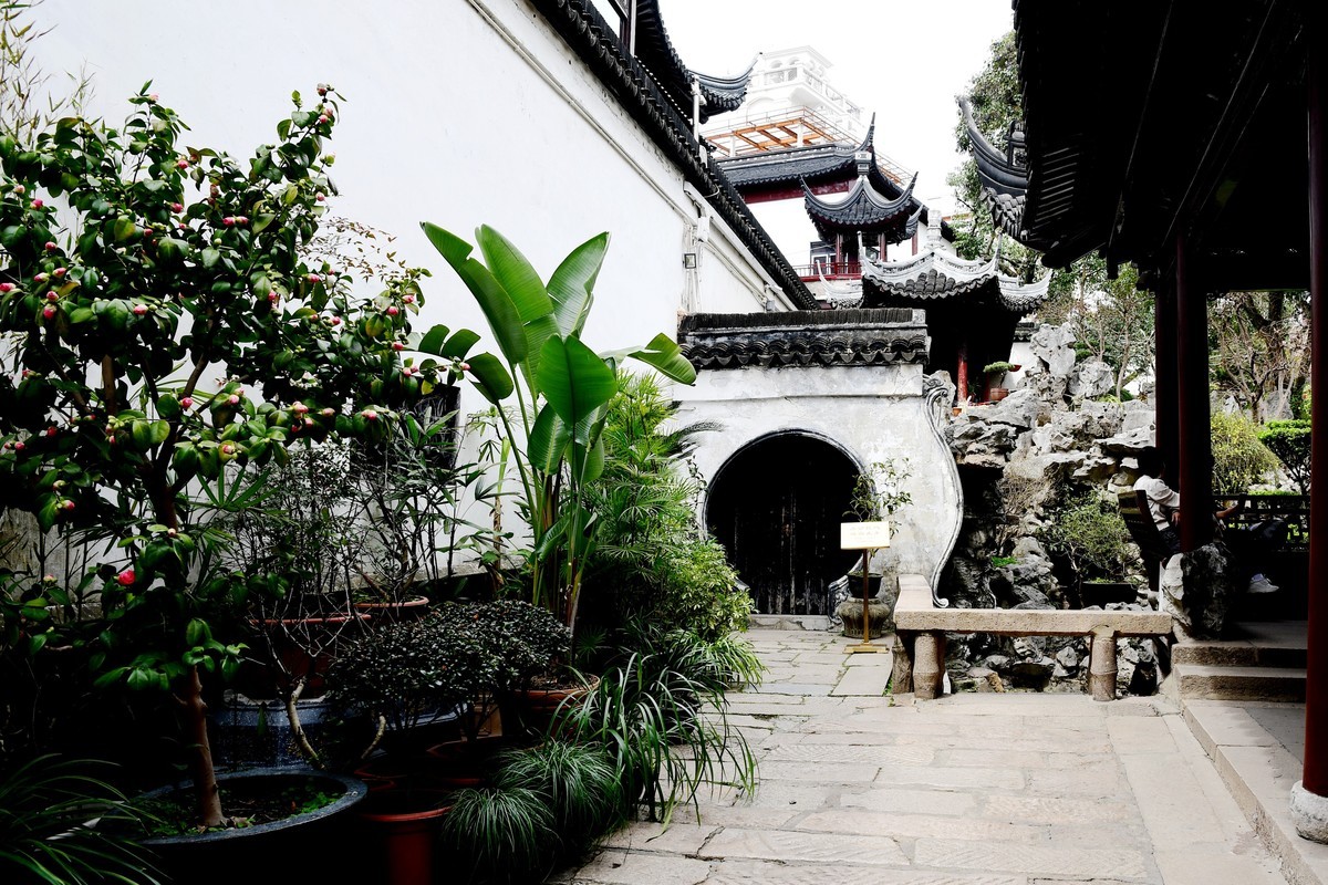 云南 上海游之四六 —— 逛豫园（2）