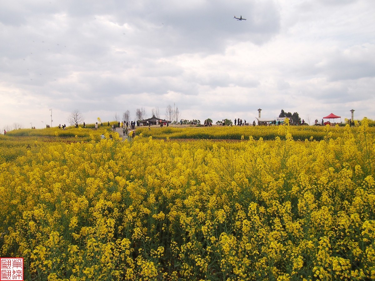 2024田园风光打卡（13）