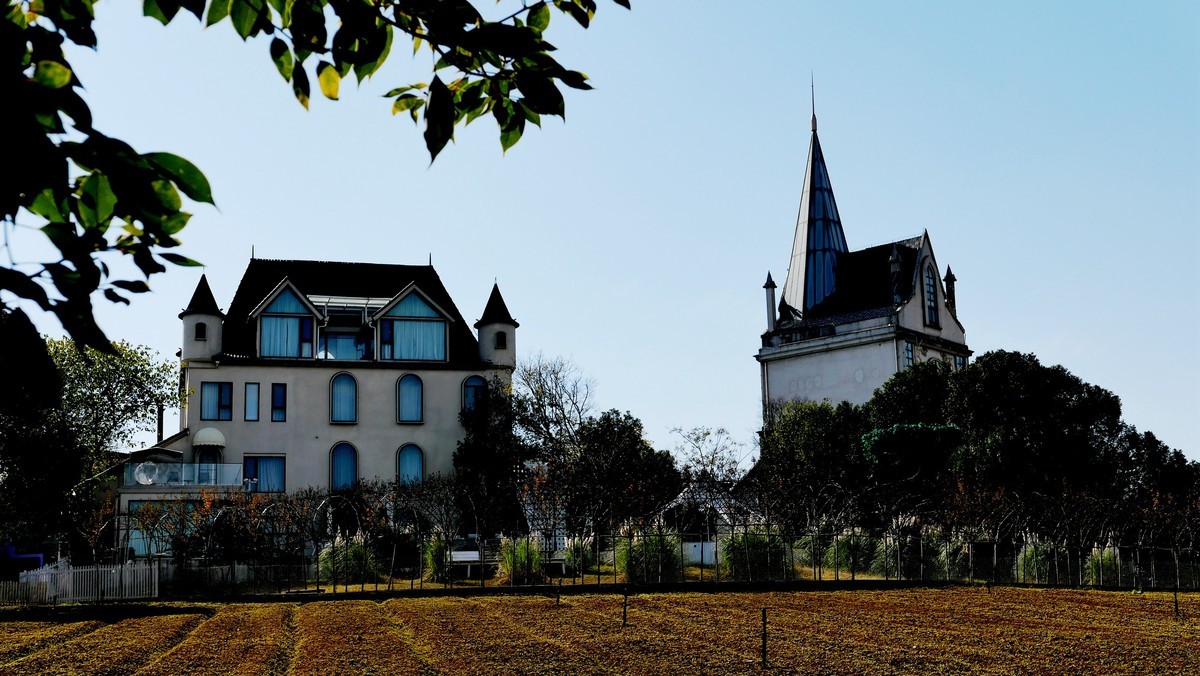 武汉映像-----汉阳花博汇田园风光！