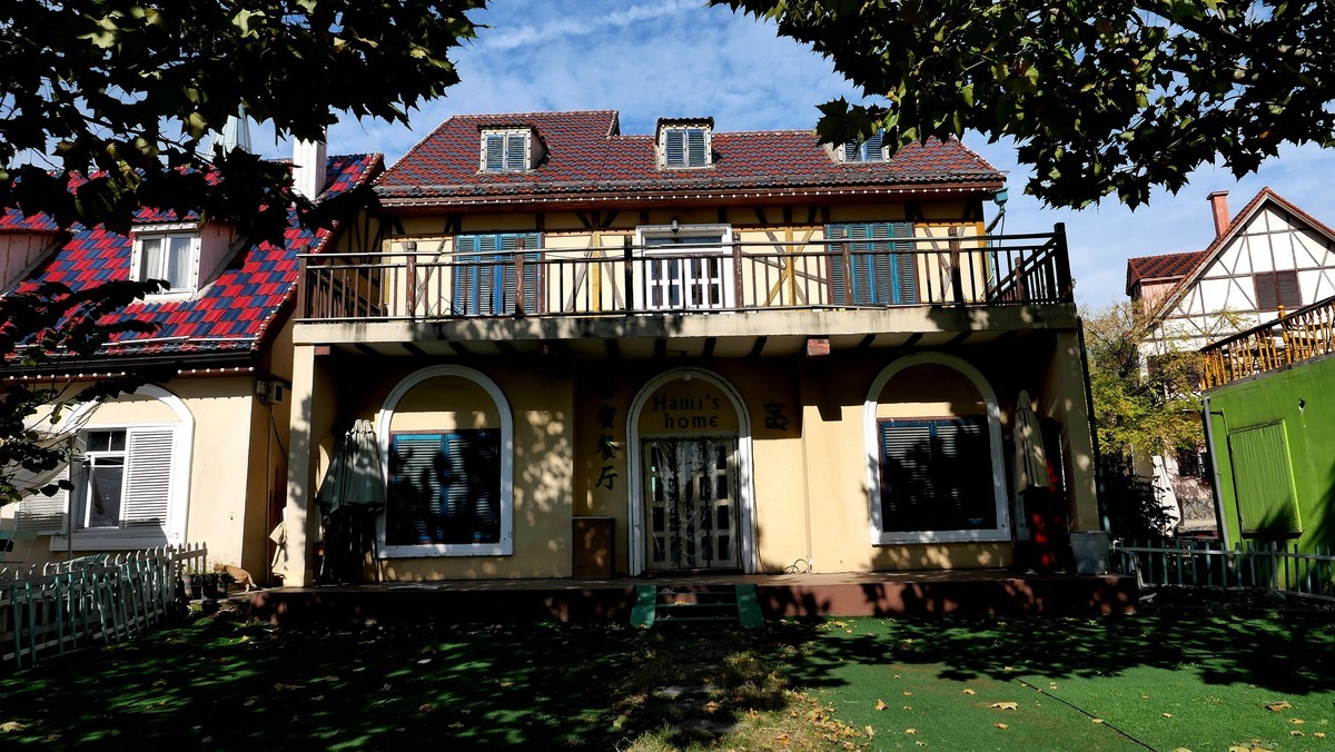 武汉映像-----汉阳花博汇田园风光！