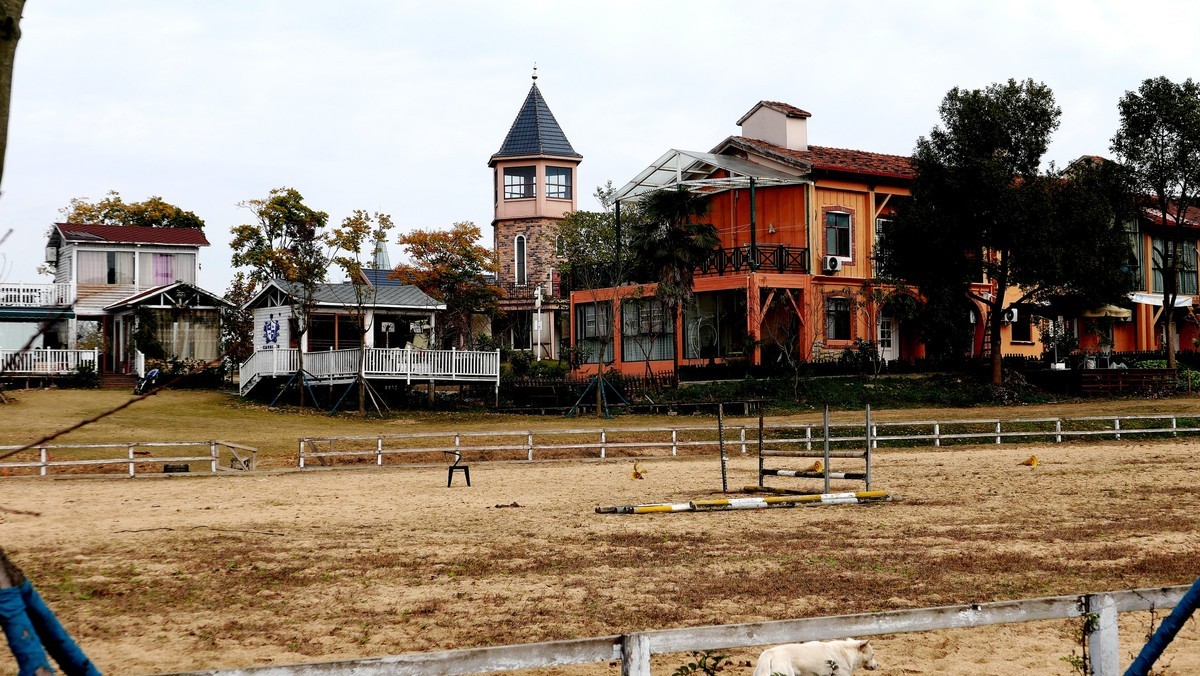 武汉映像-----汉阳花博汇田园风光！