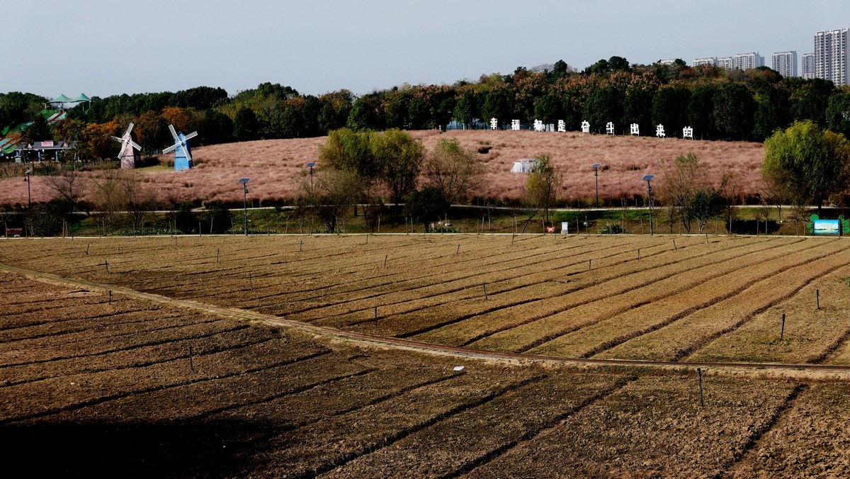 武汉映像-----汉阳花博汇田园风光！