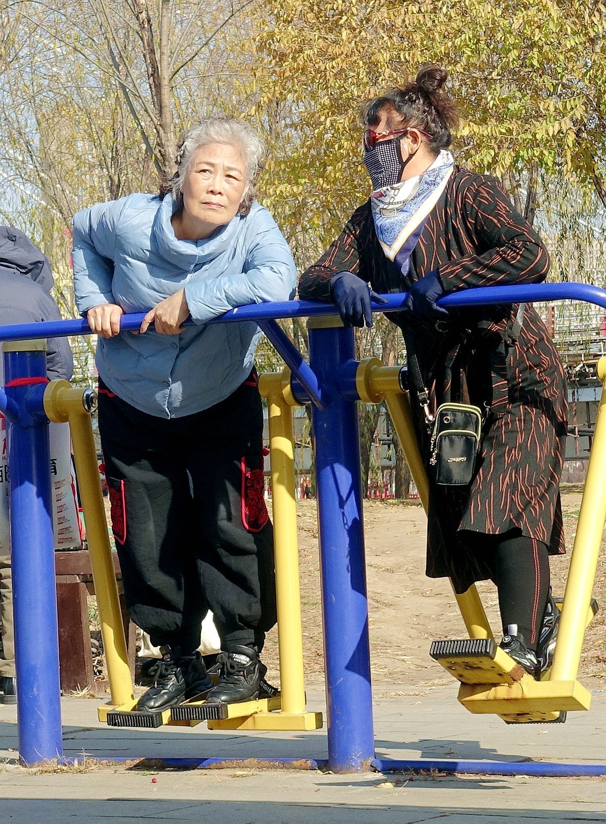 公园休闲的老太太