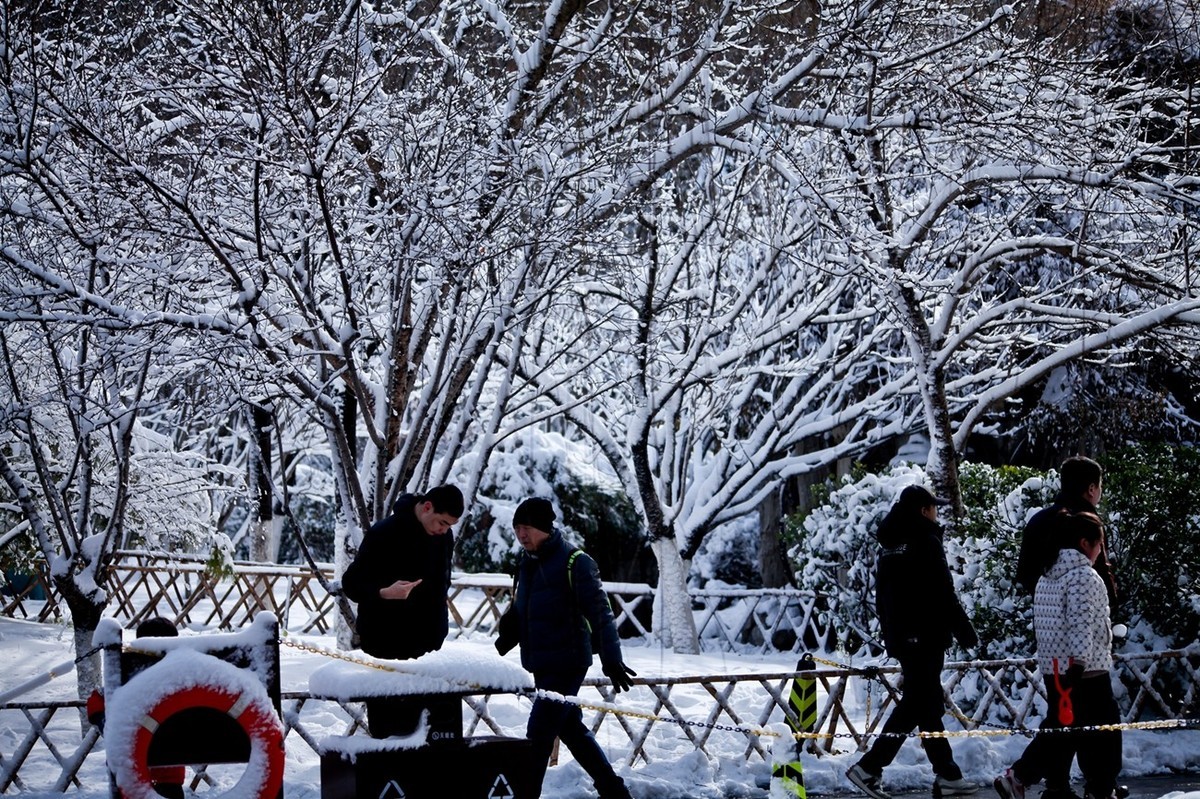 大雪过后——公园杂拍
