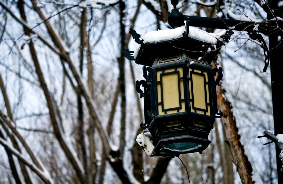 大雪过后——公园杂拍