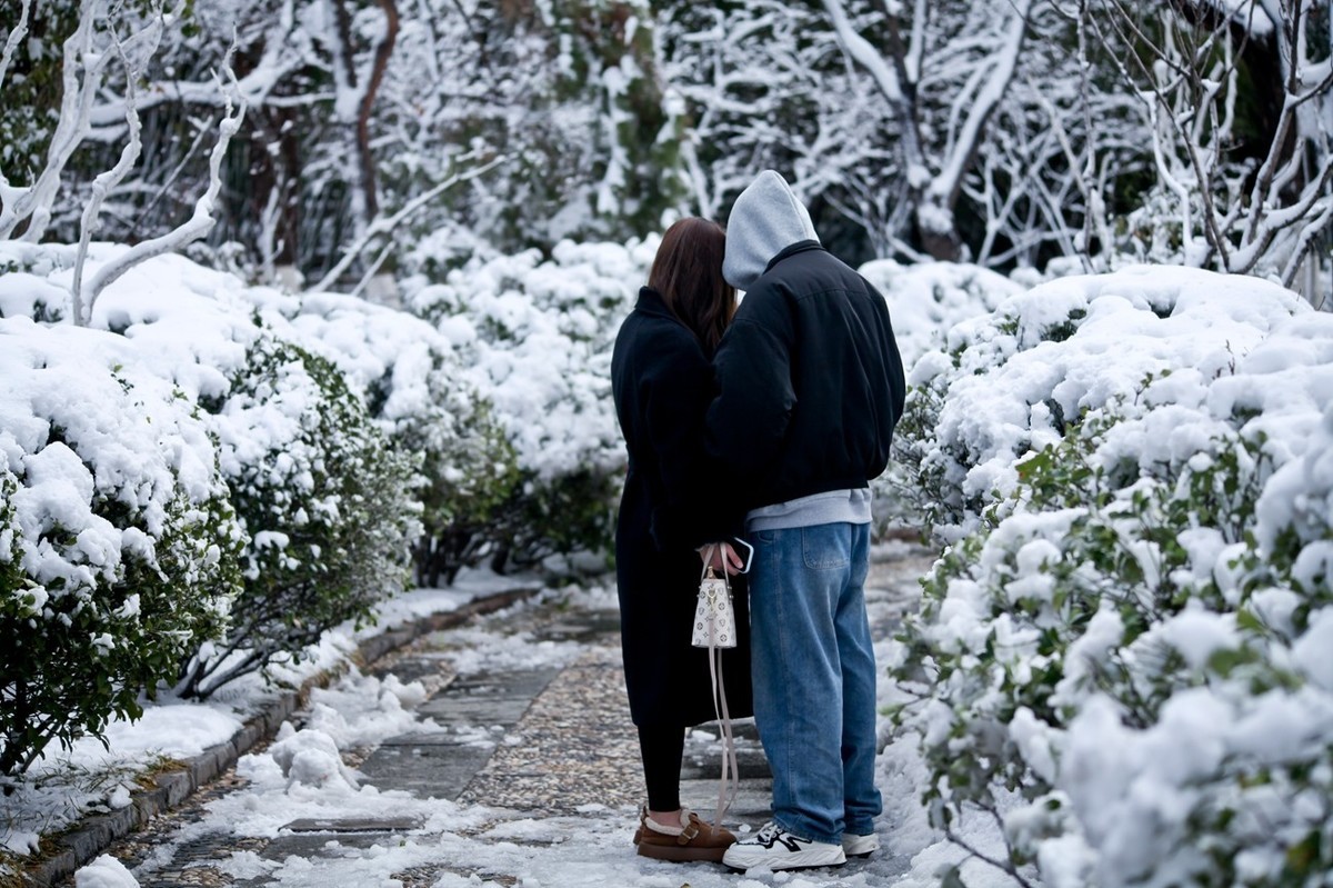 大雪过后——公园杂拍