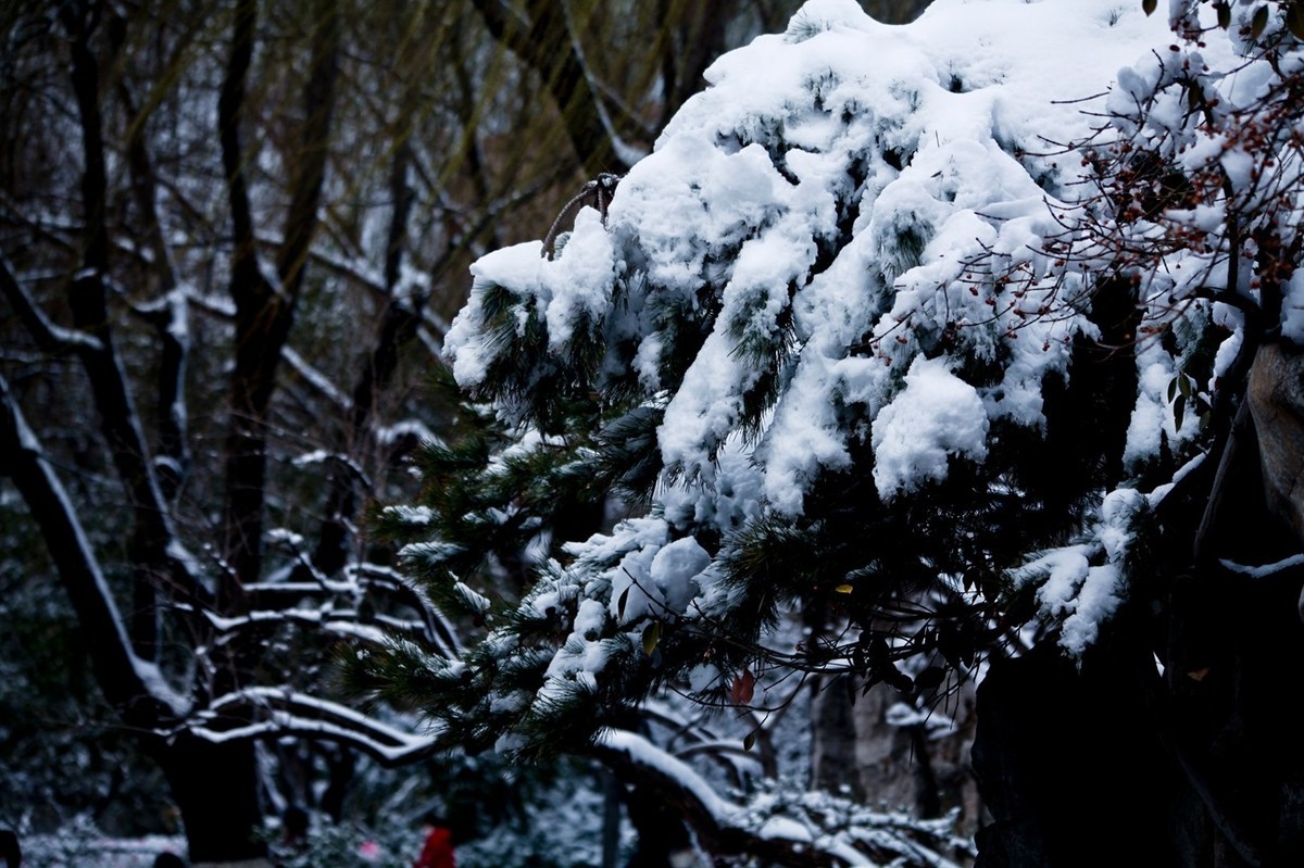 大雪过后——公园杂拍