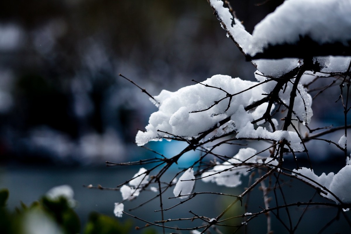 大雪过后——公园杂拍