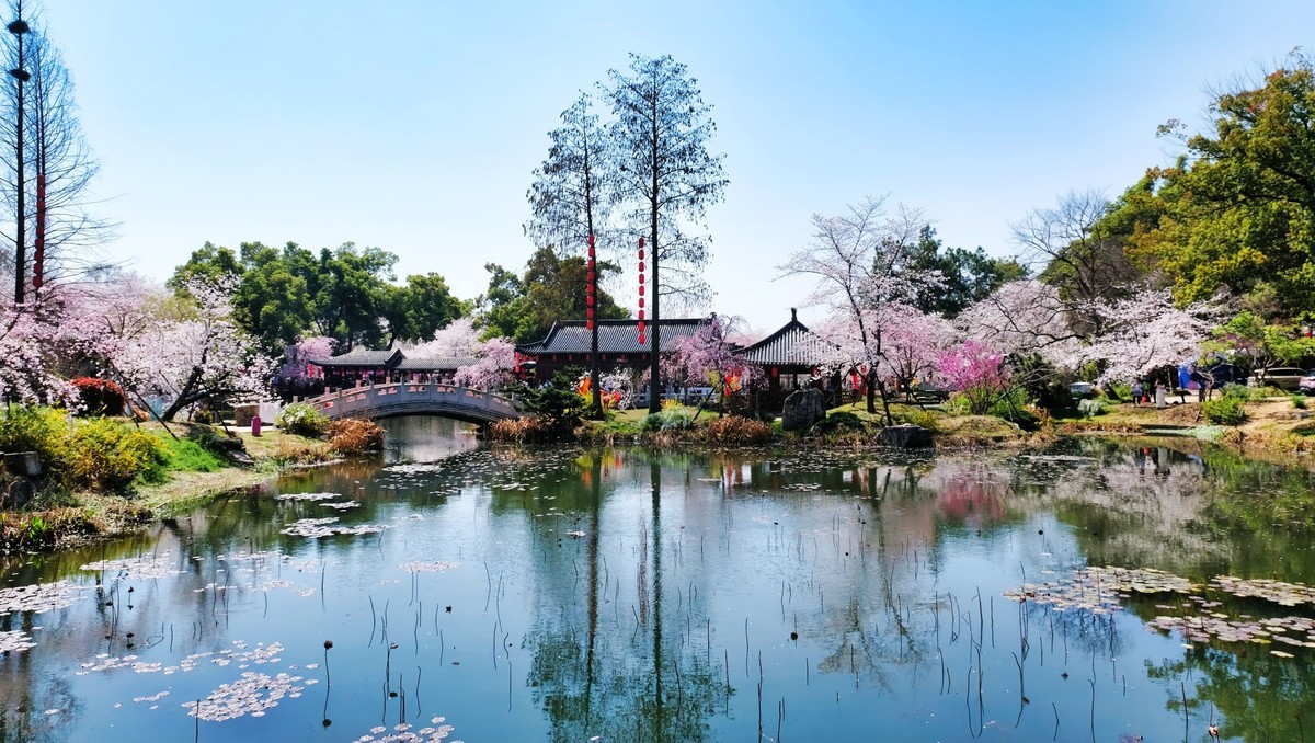 武汉市东湖樱花园风景