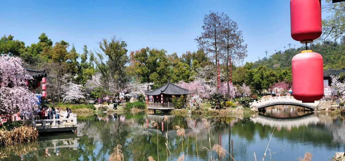 武汉市东湖樱花园风景