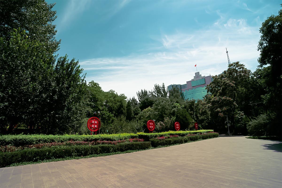 随                                   拍