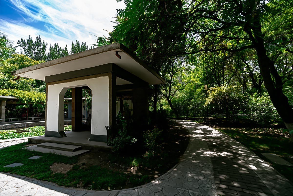 随                                   拍