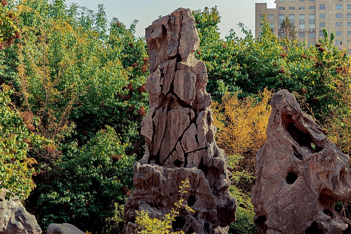 随                                   拍