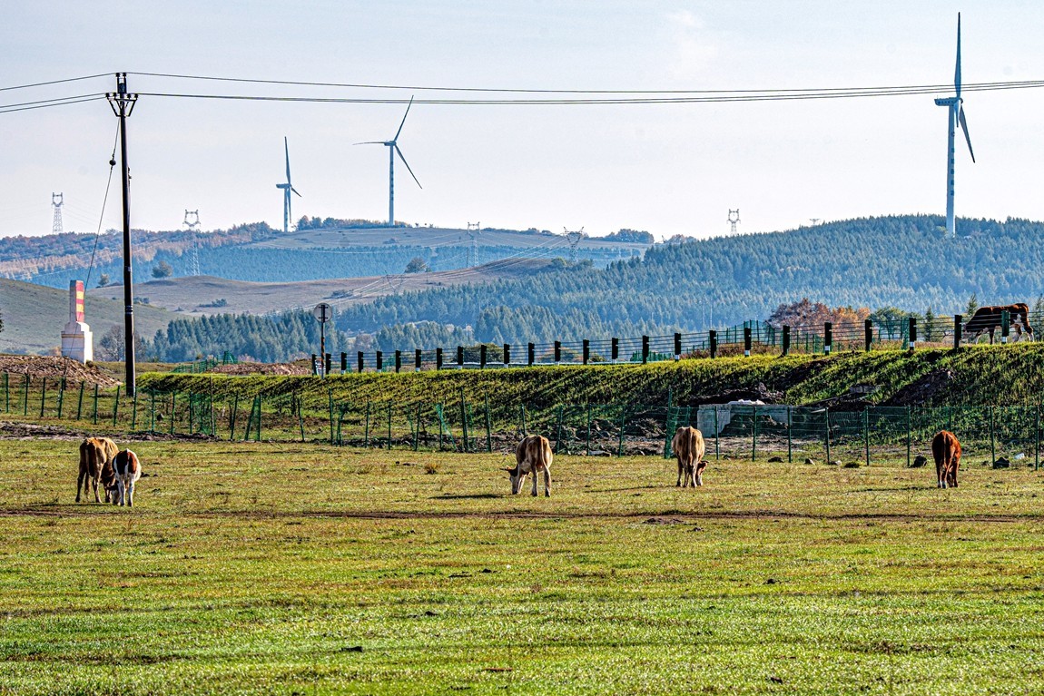 行走在--坝上草原【1】