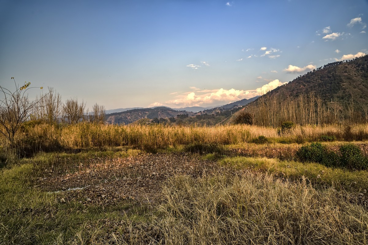暮色下的邛海湿地