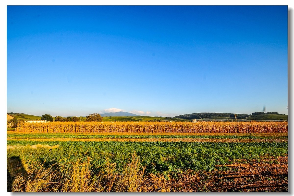 携“残幅超广田园”，拜会全幅大哥，祝秋日安好！！！