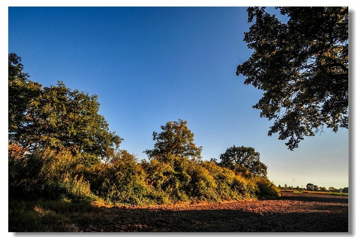 携“残幅超广田园”，拜会全幅大哥，祝秋日安好！！！