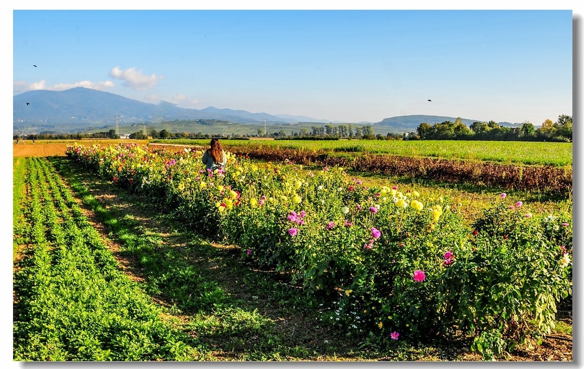 携“残幅超广田园”，拜会全幅大哥，祝秋日安好！！！