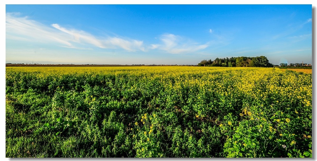 携“残幅超广田园”，拜会全幅大哥，祝秋日安好！！！