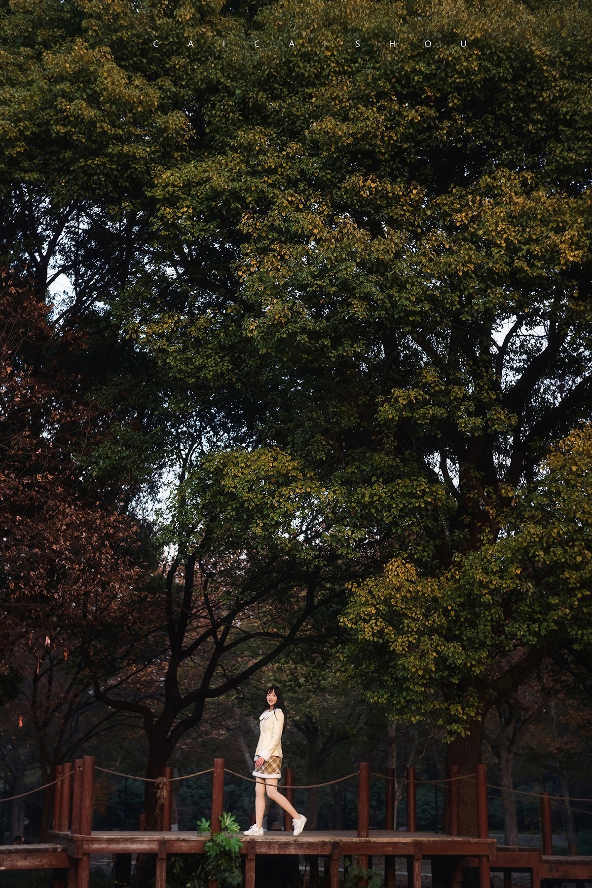 【菜々手摄影】俄头八羽怪44-7测试