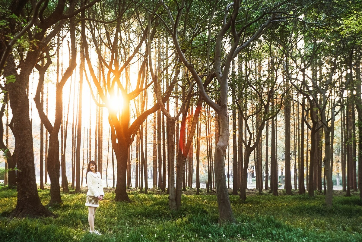 【菜々手摄影】俄头八羽怪44-7测试