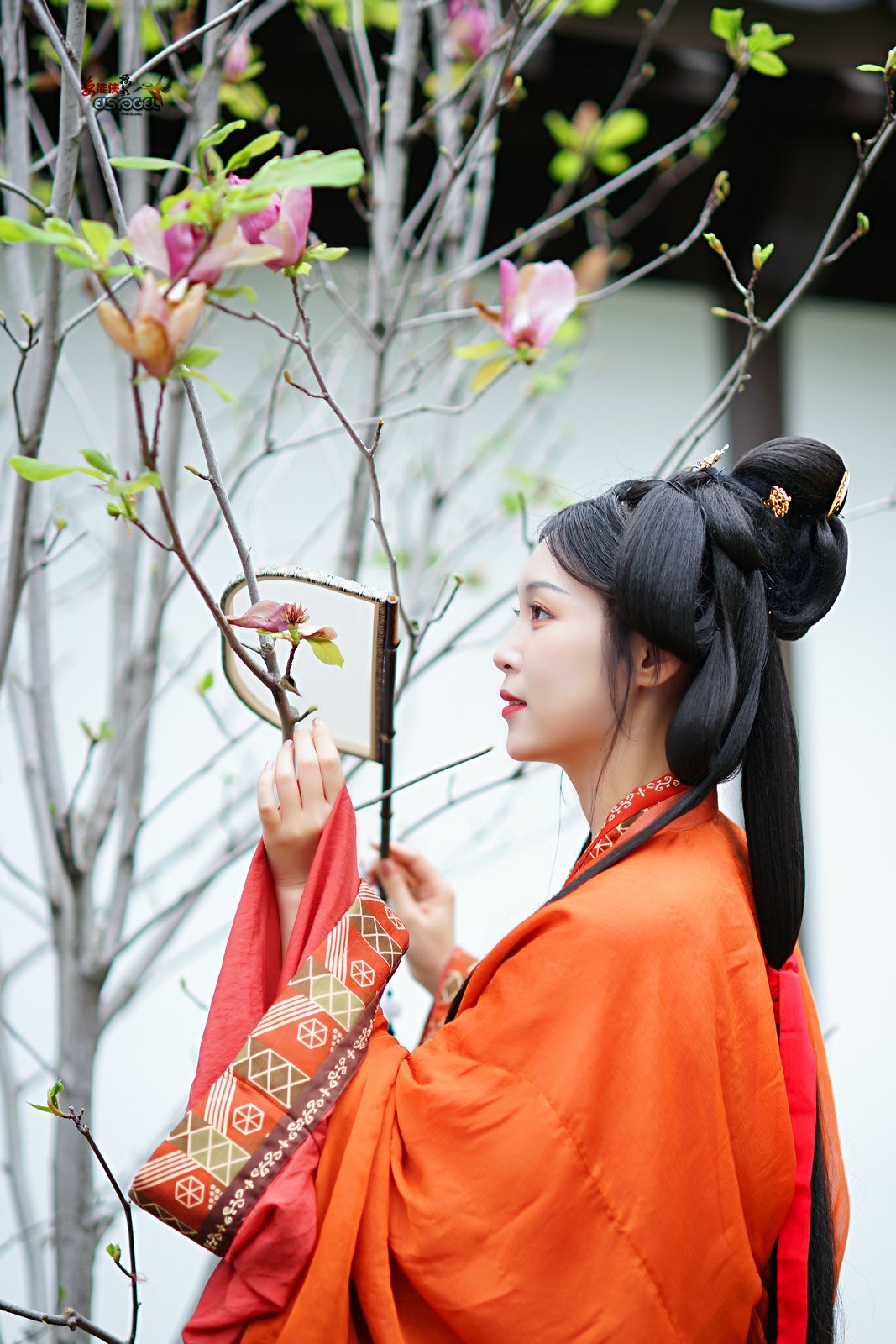 【歌尽桃花扇底风】---淑娴