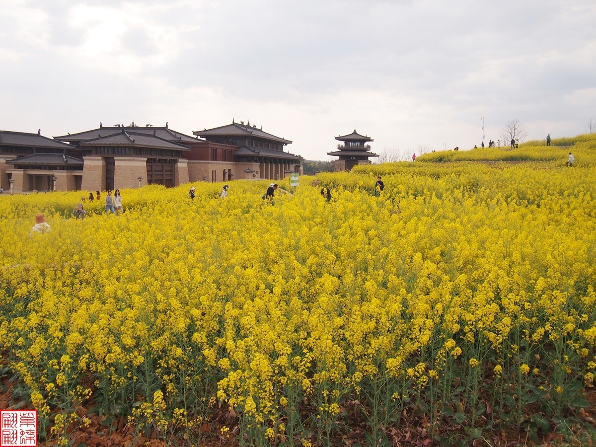 2024田园风光打卡（13）