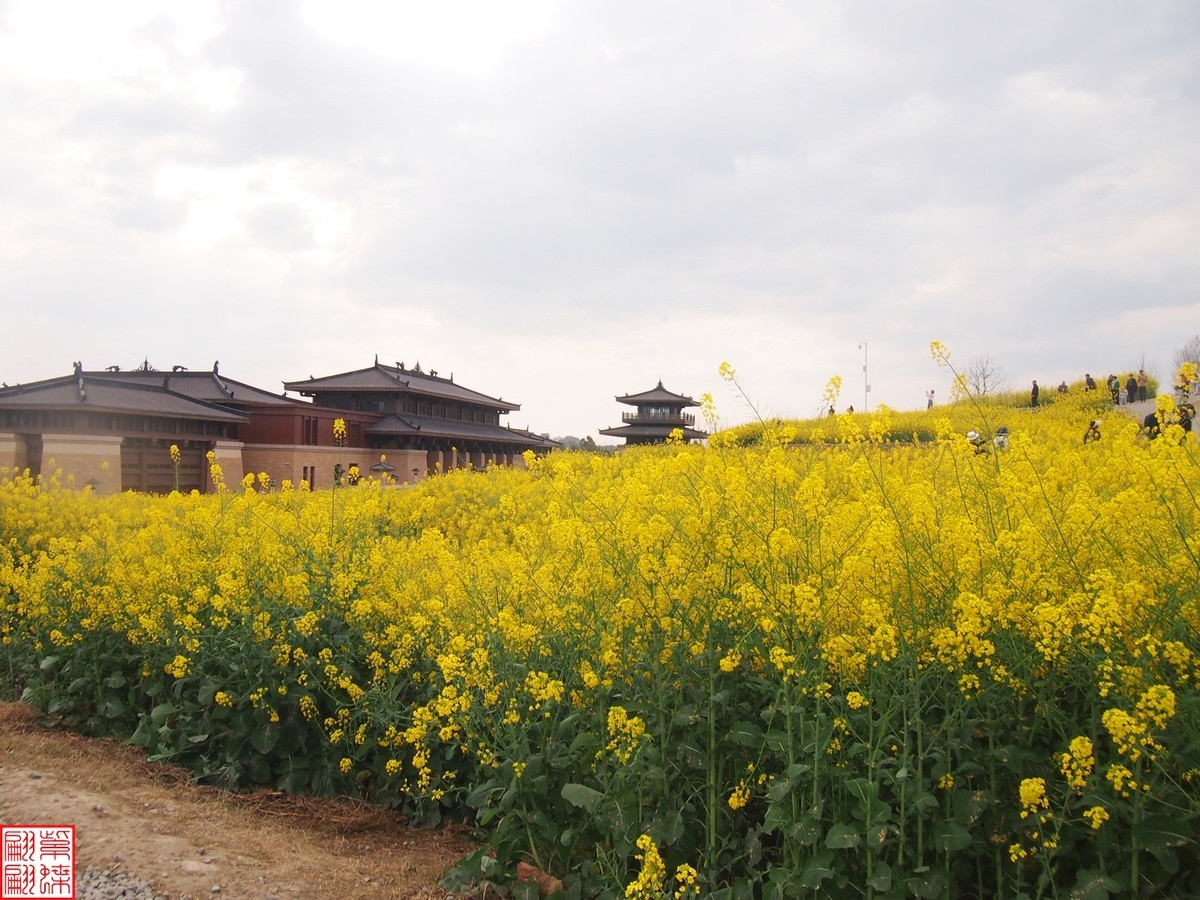 2024田园风光打卡（13）