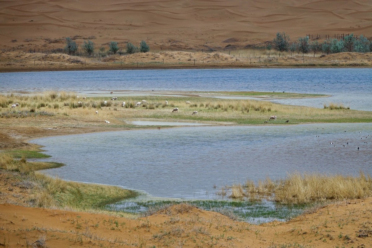 穿越腾格里沙漠