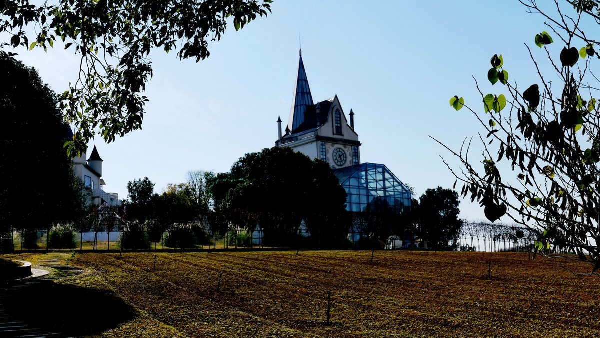 武汉映像-----汉阳花博汇田园风光！