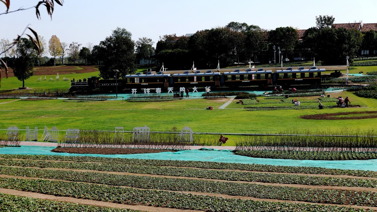 武汉映像-----汉阳花博汇田园风光！