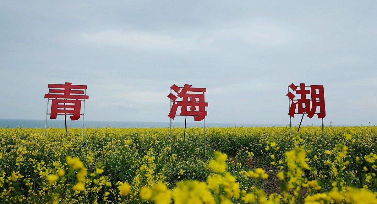 青海湖