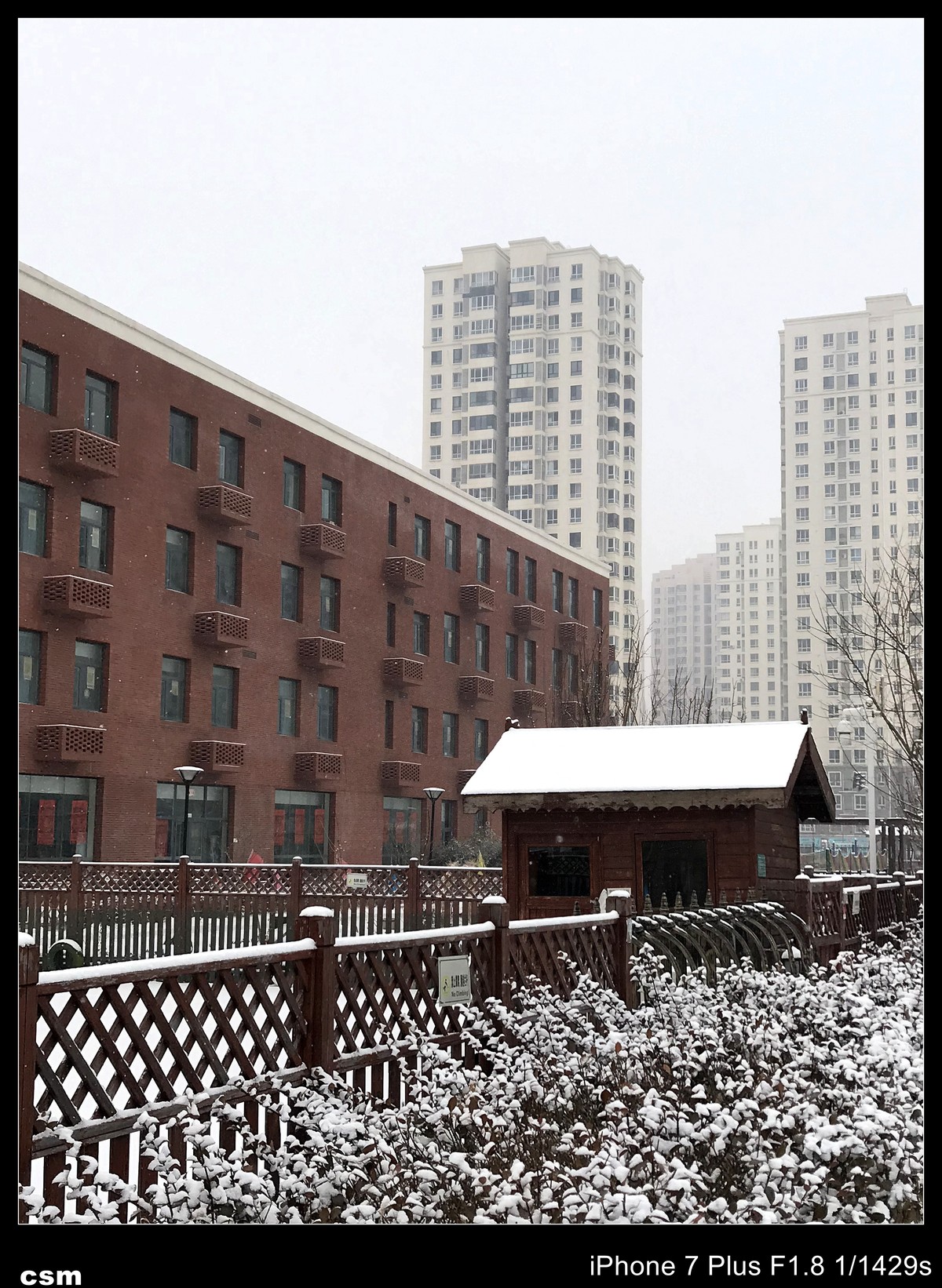 街景随拍——雪