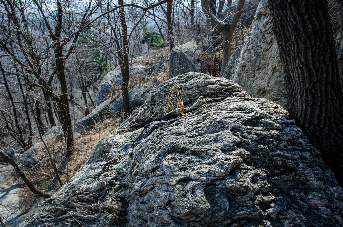 孟良崮游记（十六）