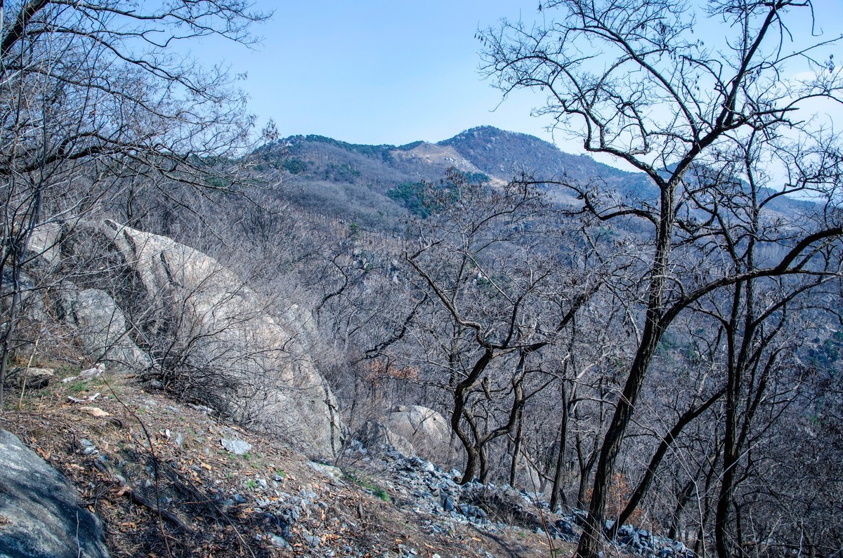 孟良崮游记（十六）