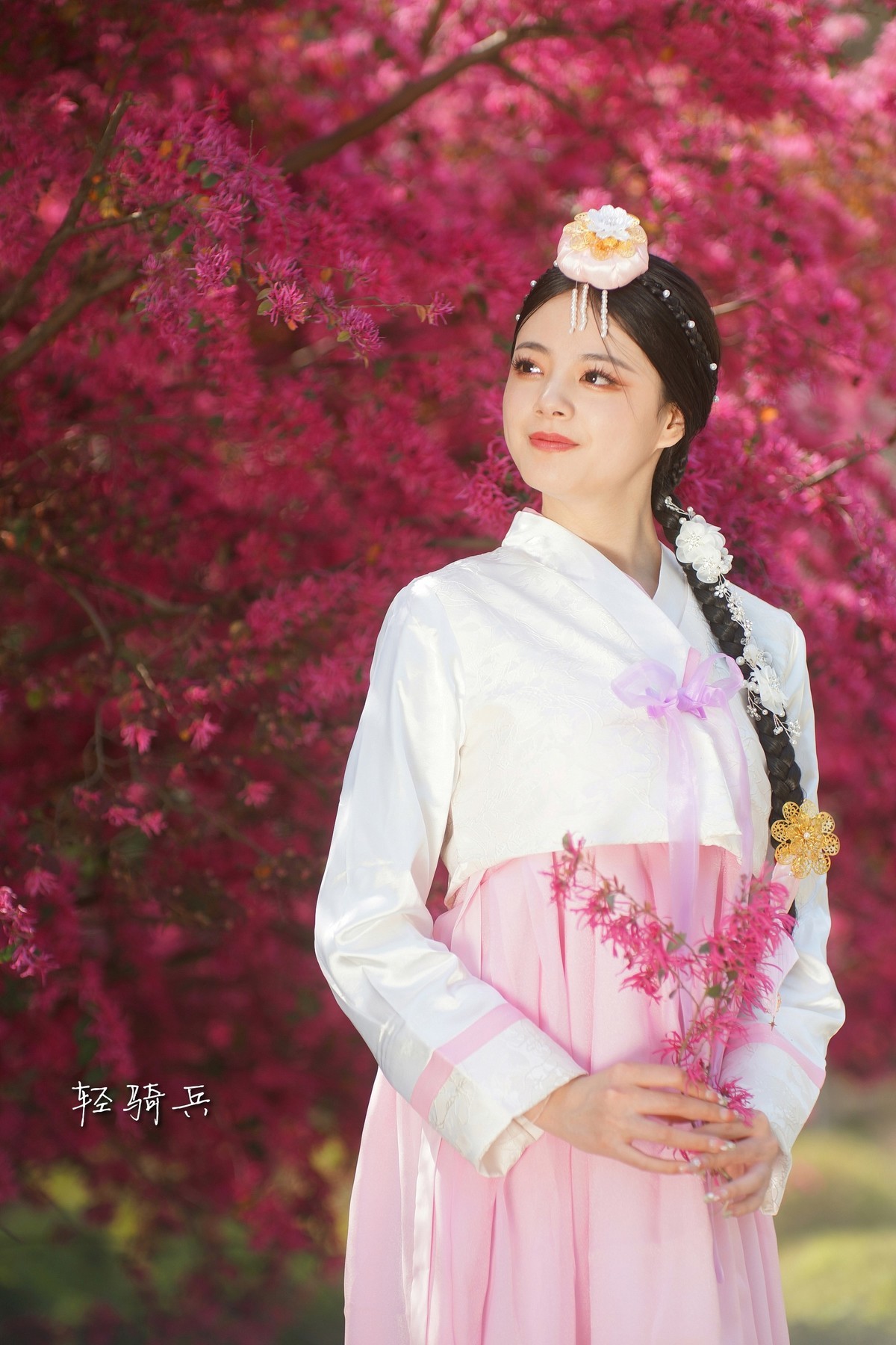 南昌江西省林科院红花继木人像