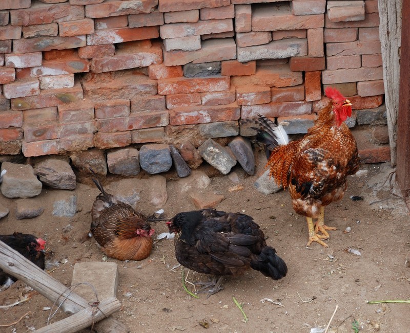 鸡鸣驿古城      2/4