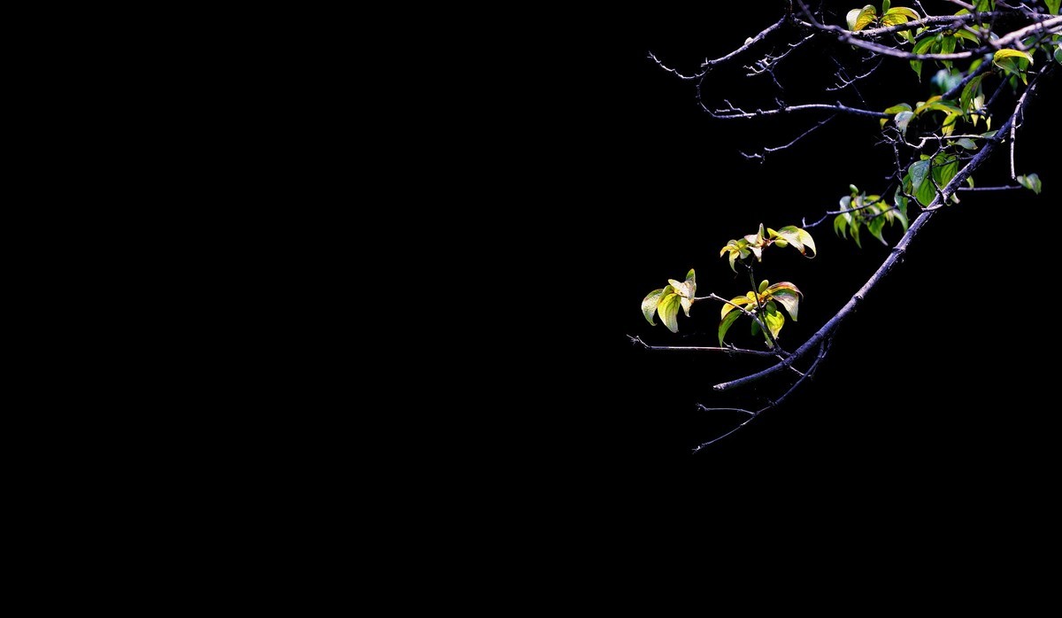 晋城蟒河三龙瀑5