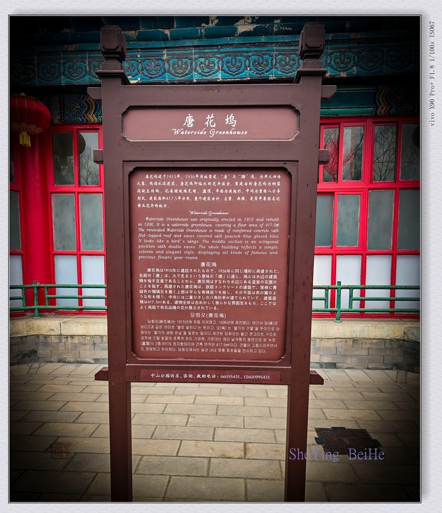 春花聚会《唐花坞》